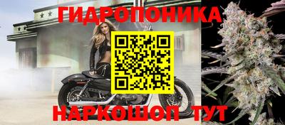 марки nbome Новозыбков