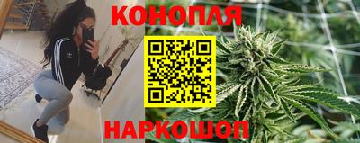 стафф Обь