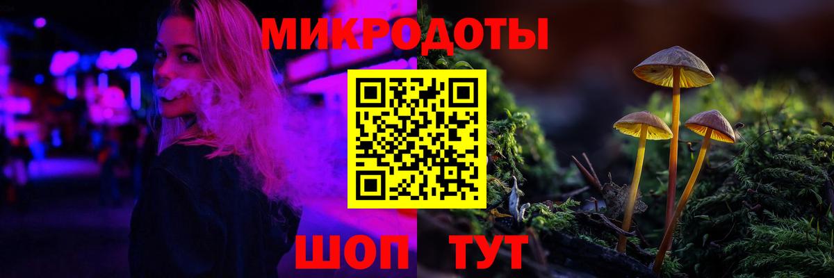 Галлюциногенные грибы Psilocybine cubensis  Вход с VPN  Скопин  Псилоцибиновые грибы мухоморы 